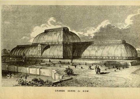 Reproducción/Reproduction 49587680446: Flore des serres et des jardins de l'Europe. A Gand :chez Louis van Houtte, eÌditeur,1845-1880.. 