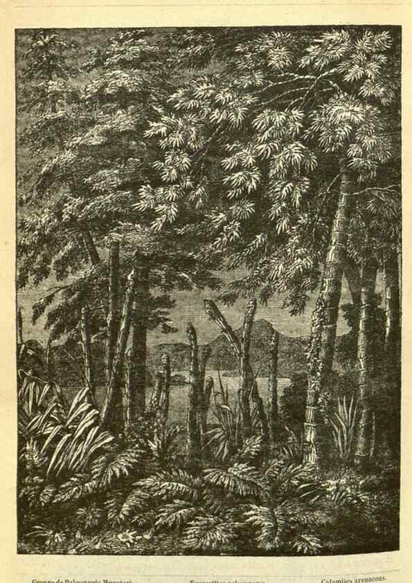 Reproducción/Reproduction 49587609061: Flore des serres et des jardins de l'Europe. A Gand :chez Louis van Houtte, eÌditeur,1845-1880.. 