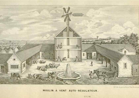 Reproducción/Reproduction 49589196242: Flore des serres et des jardins de l'Europe. A Gand :chez Louis van Houtte, eÌditeur,1845-1880.. 