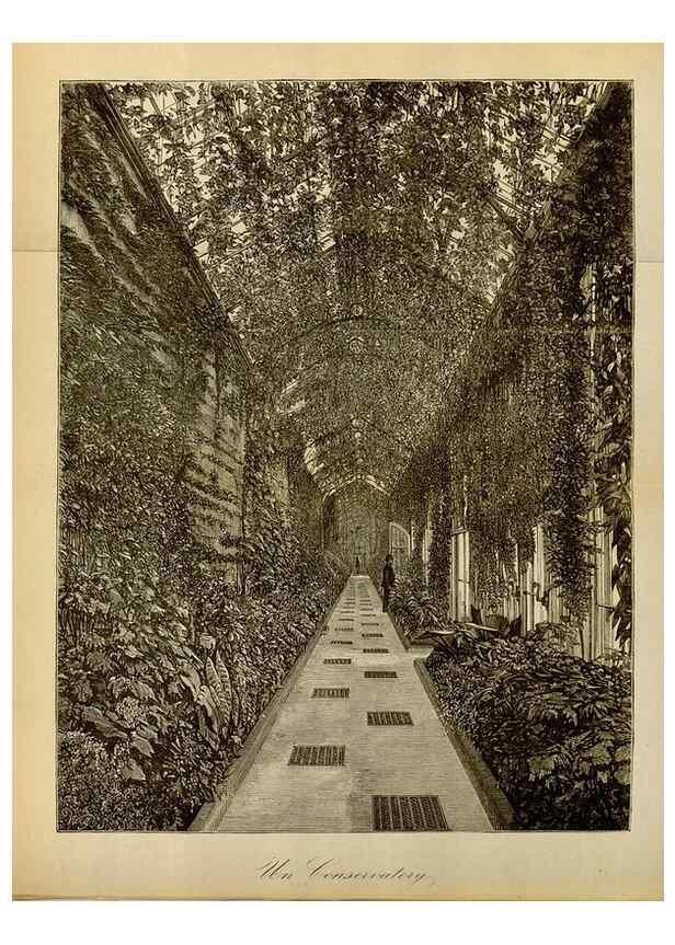 Reproducción/Reproduction 49588260456: Flore des serres et des jardins de l'Europe. A Gand :chez Louis van Houtte, eÌditeur,1845-1880.. 