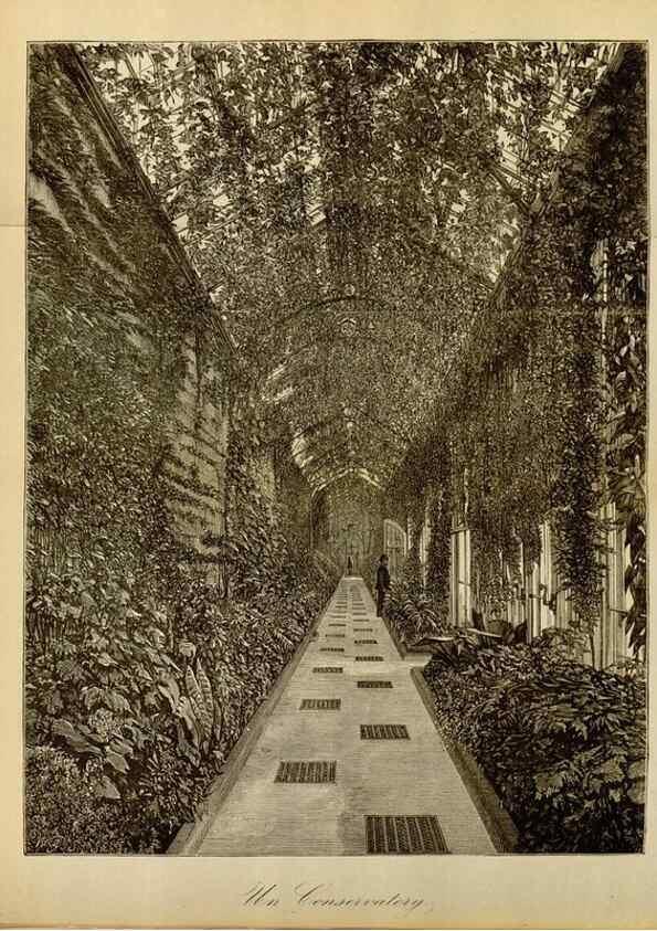 Reproducción/Reproduction 49588260456: Flore des serres et des jardins de l'Europe. A Gand :chez Louis van Houtte, eÌditeur,1845-1880.. 