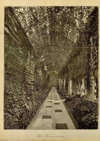 Reproducción/Reproduction 49588260456: Flore des serres et des jardins de l'Europe. A Gand :chez Louis van Houtte, eÌditeur,1845-1880.. 