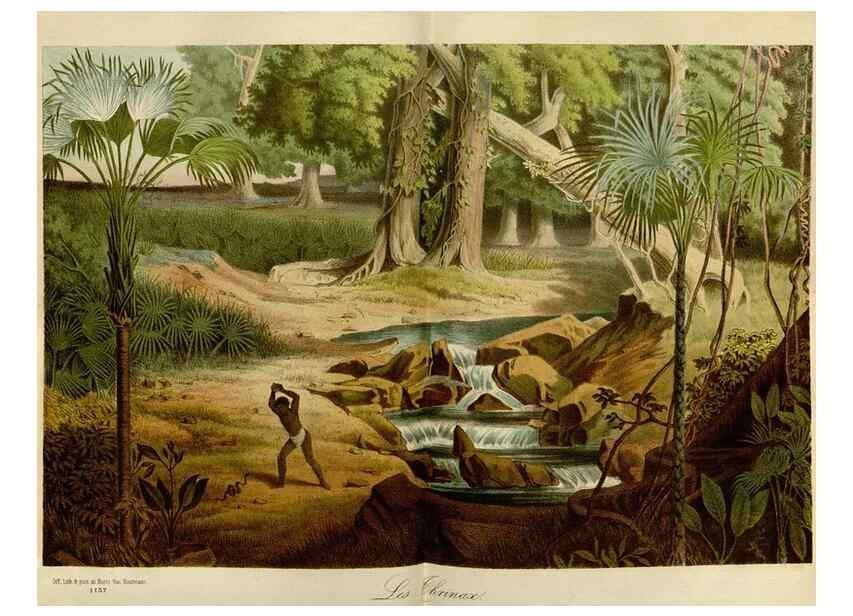 Reproducción/Reproduction 49587767718: Flore des serres et des jardins de l'Europe. A Gand :chez Louis van Houtte, eÌditeur,1845-1880.. 
