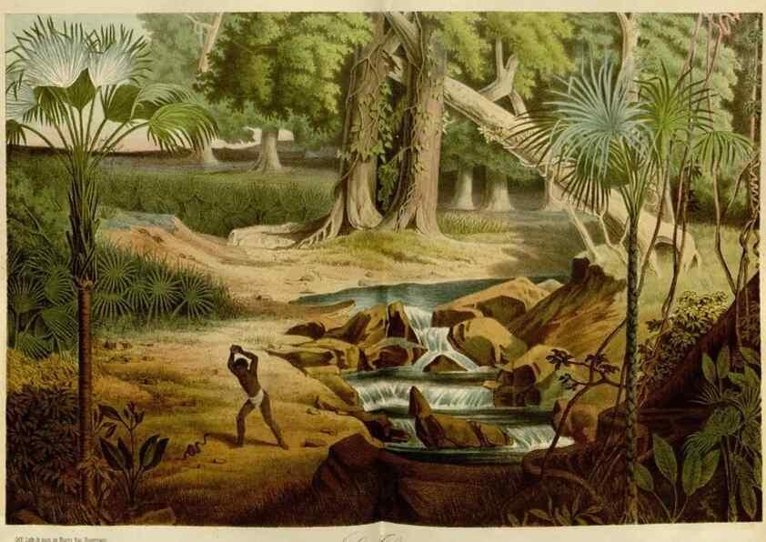 Reproducción/Reproduction 49587767718: Flore des serres et des jardins de l'Europe. A Gand :chez Louis van Houtte, eÌditeur,1845-1880.. 