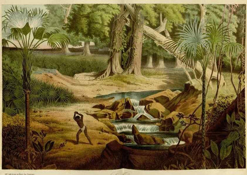 Reproducción/Reproduction 49587767718: Flore des serres et des jardins de l'Europe. A Gand :chez Louis van Houtte, eÌditeur,1845-1880.. 