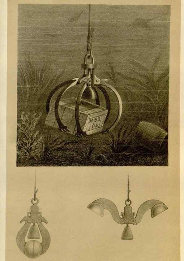 Reproducción/Reproduction 49588516152: Flore des serres et des jardins de l'Europe. A Gand :chez Louis van Houtte, eÌditeur,1845-1880.. 