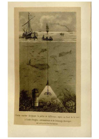 Reproducción/Reproduction 49588516637: Flore des serres et des jardins de l'Europe. A Gand :chez Louis van Houtte, eÌditeur,1845-1880.. 