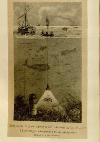 Reproducción/Reproduction 49588516637: Flore des serres et des jardins de l'Europe. A Gand :chez Louis van Houtte, eÌditeur,1845-1880.. 
