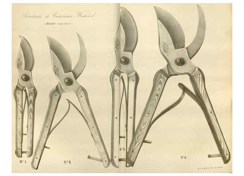 Reproducción/Reproduction 49588509037: Flore des serres et des jardins de l'Europe. A Gand :chez Louis van Houtte, eÌditeur,1845-1880.. 