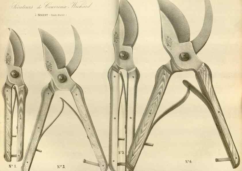Reproducción/Reproduction 49588509037: Flore des serres et des jardins de l'Europe. A Gand :chez Louis van Houtte, eÌditeur,1845-1880.. 
