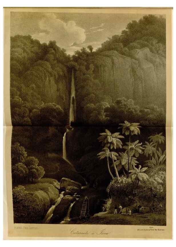 Reproducción/Reproduction 49588511612: Flore des serres et des jardins de l'Europe. A Gand :chez Louis van Houtte, eÌditeur,1845-1880.. 