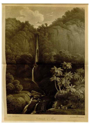 Reproducción/Reproduction 49588511612: Flore des serres et des jardins de l'Europe. A Gand :chez Louis van Houtte, eÌditeur,1845-1880.. 