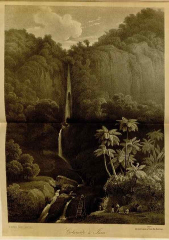 Reproducción/Reproduction 49588511612: Flore des serres et des jardins de l'Europe. A Gand :chez Louis van Houtte, eÌditeur,1845-1880.. 