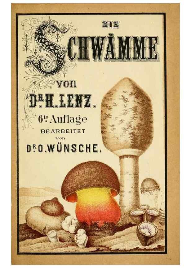Reproducción/Reproduction 49456262897: Prof. Dr. Harald O. Lenz' Ntzliche, schdliche und verdchtige Pilze.. Gotha,Thienemann,1890.. 