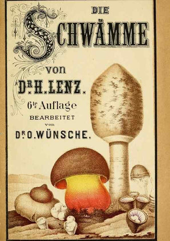 Reproducción/Reproduction 49456262897: Prof. Dr. Harald O. Lenz' Ntzliche, schdliche und verdchtige Pilze.. Gotha,Thienemann,1890.. 