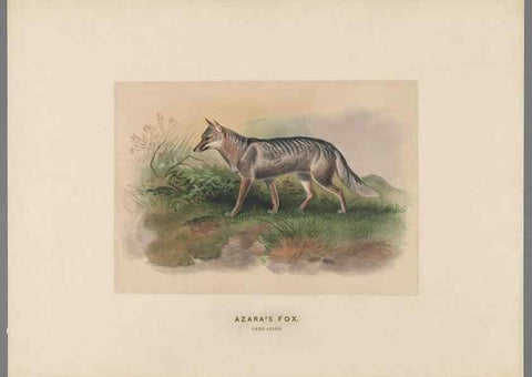 Reproducción/Reproduction 49418604618: Zoological sketches /. London :Henry Graves,1861-1867.. 