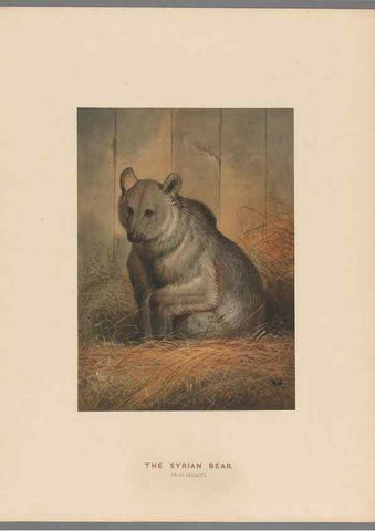 Reproducción/Reproduction 49419074116: Zoological sketches /. London :Henry Graves,1861-1867.. 