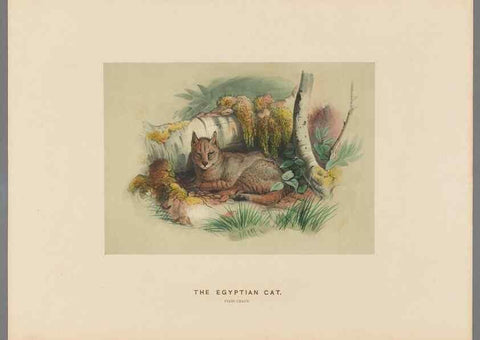 Reproducción/Reproduction 49419072521: Zoological sketches /. London :Henry Graves,1861-1867.. 