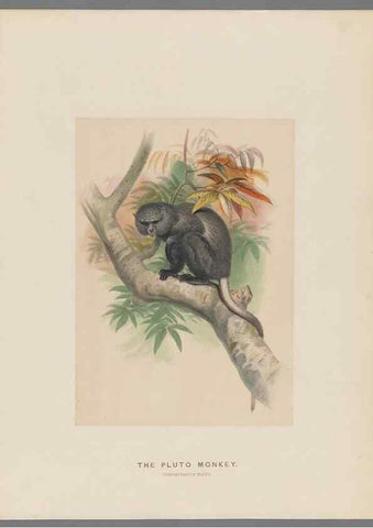 Reproducción/Reproduction 49419290092: Zoological sketches /. London :Henry Graves,1861-1867.. 