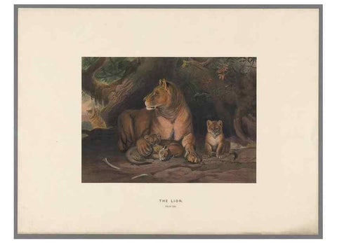 Reproducción/Reproduction 49418601943: Zoological sketches /. London :Henry Graves,1861-1867.. 