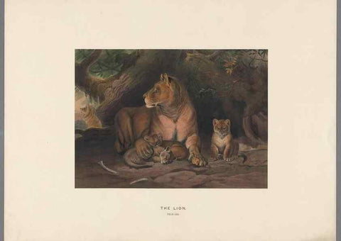 Reproducción/Reproduction 49418601943: Zoological sketches /. London :Henry Graves,1861-1867.. 