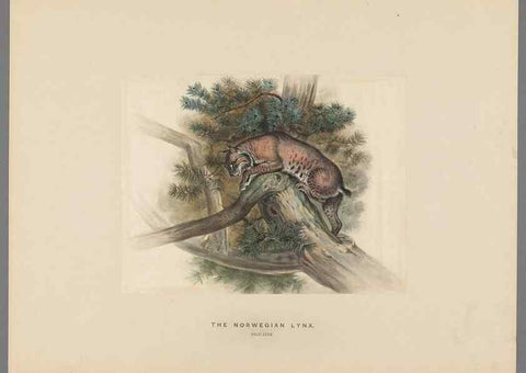Reproducción/Reproduction 49419339517: Zoological sketches /. London :Henry Graves,1861-1867.. 