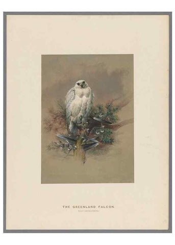 Reproducción/Reproduction 49418608333: Zoological sketches /. London :Henry Graves,1861-1867.. 