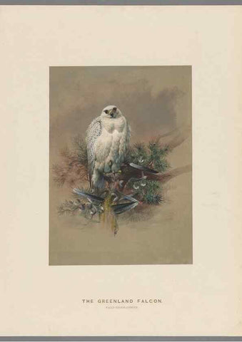 Reproducción/Reproduction 49418608333: Zoological sketches /. London :Henry Graves,1861-1867.. 
