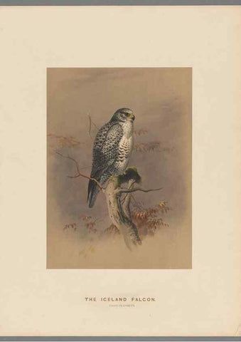 Reproducción/Reproduction 49418608588: Zoological sketches /. London :Henry Graves,1861-1867.. 