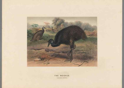 Reproducción/Reproduction 49419299117: Zoological sketches /. London :Henry Graves,1861-1867.. 
