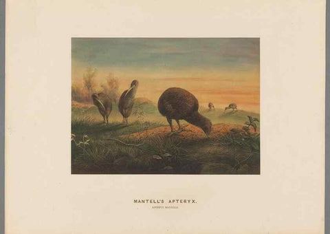 Reproducción/Reproduction 49418610738: Zoological sketches /. London :Henry Graves,1861-1867.. 