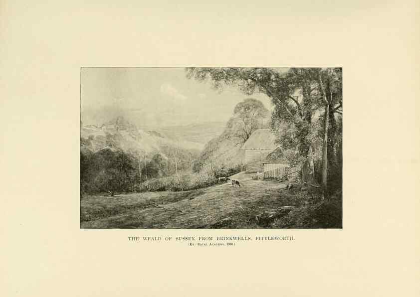 Reproducción/Reproduction 49420344441: British trees /. London :Hutchinson,1907.. 