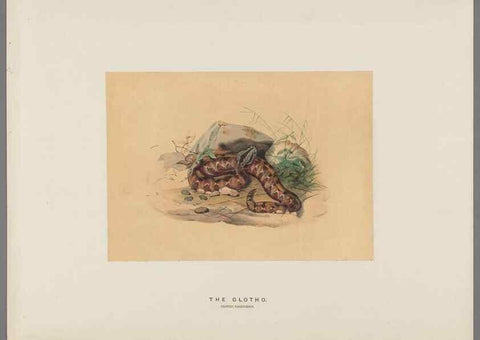 Reproducción/Reproduction 49418661223: Zoological sketches /. London :Henry Graves,1861-1867.. 
