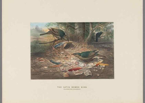 Reproducción/Reproduction 49419343932: Zoological sketches /. London :Henry Graves,1861-1867.. 