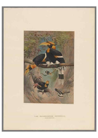 Reproducción/Reproduction 49419344302: Zoological sketches /. London :Henry Graves,1861-1867.. 