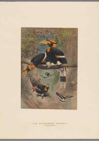 Reproducción/Reproduction 49419344302: Zoological sketches /. London :Henry Graves,1861-1867.. 