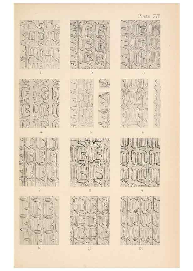 Reproducción/Reproduction 49488588902: The British Tunicata;. London,Printed for the Ray society,1905-12.. 