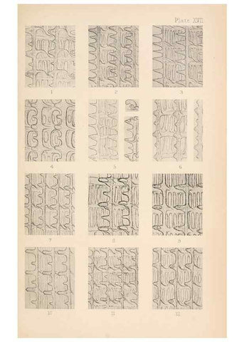 Reproducción/Reproduction 49488588902: The British Tunicata;. London,Printed for the Ray society,1905-12.. 