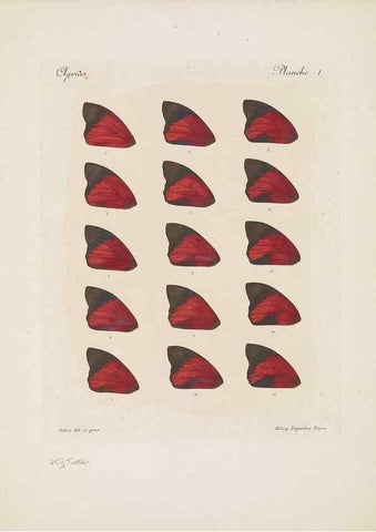 Reproducción/Reproduction 49468617297: Thèses entomologiques (Lépidoptères) :. Paris :G. de Malherbe et Cie Imprimeurs,3 Novembre 1921.. 