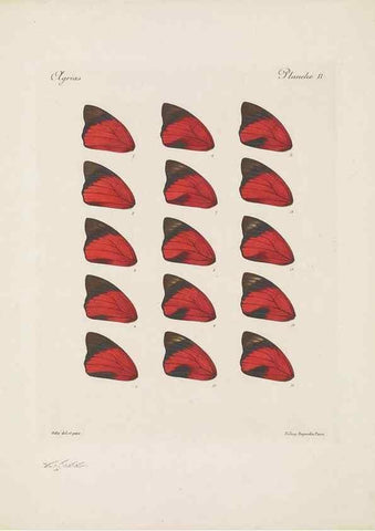 Reproducción/Reproduction 49467899138: Thèses entomologiques (Lépidoptères) :. Paris :G. de Malherbe et Cie Imprimeurs,3 Novembre 1921.. 
