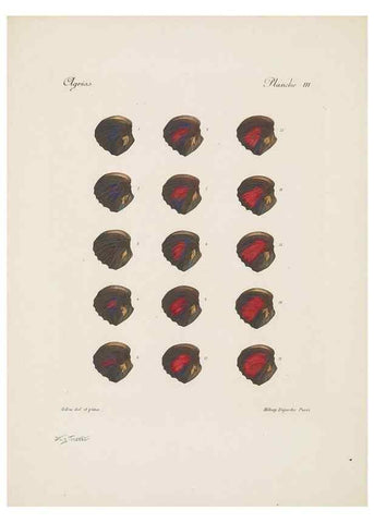 Reproducción/Reproduction 49467899348: Thèses entomologiques (Lépidoptères) :. Paris :G. de Malherbe et Cie Imprimeurs,3 Novembre 1921.. 