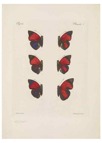 Reproducción/Reproduction 49467899803: Thèses entomologiques (Lépidoptères) :. Paris :G. de Malherbe et Cie Imprimeurs,3 Novembre 1921.. 