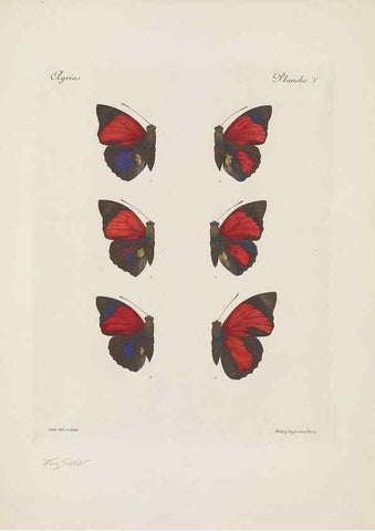 Reproducción/Reproduction 49467899803: Thèses entomologiques (Lépidoptères) :. Paris :G. de Malherbe et Cie Imprimeurs,3 Novembre 1921.. 
