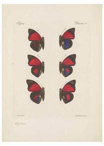 Reproducción/Reproduction 49467900013: Thèses entomologiques (Lépidoptères) :. Paris :G. de Malherbe et Cie Imprimeurs,3 Novembre 1921.. 