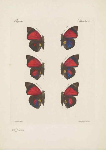 Reproducción/Reproduction 49467900013: Thèses entomologiques (Lépidoptères) :. Paris :G. de Malherbe et Cie Imprimeurs,3 Novembre 1921.. 