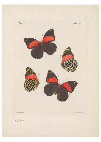 Reproducción/Reproduction 49468618977: Thèses entomologiques (Lépidoptères) :. Paris :G. de Malherbe et Cie Imprimeurs,3 Novembre 1921.. 