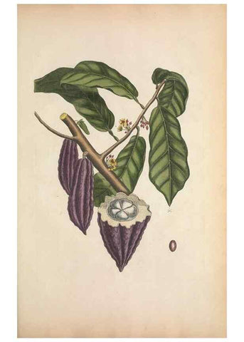 Reproducción/Reproduction 49457202711: The natural history of Carolina, Florida, and the Bahama Islands :. London :Printed for B. White,1771.. 