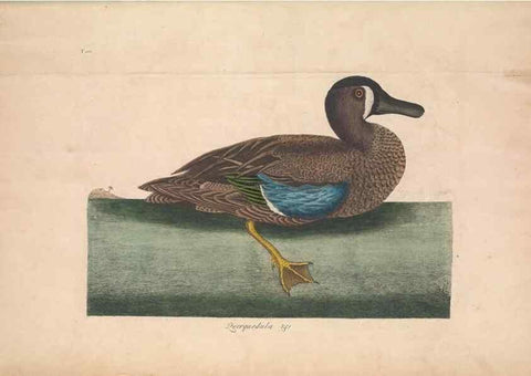 Reproducción/Reproduction 49456886971: The natural history of Carolina, Florida, and the Bahama Islands :. London :Printed for B. White,1771.. 