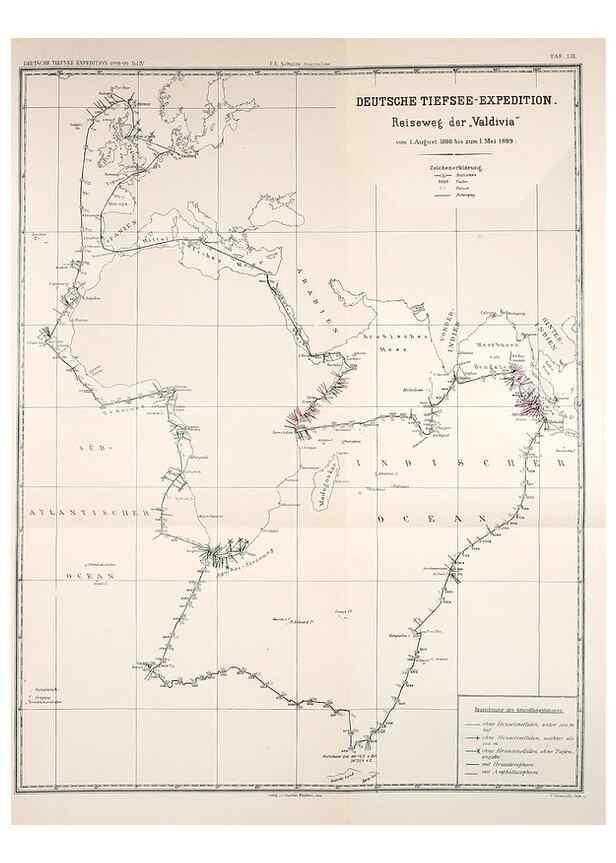 Reproducción/Reproduction 49484260733: Wissenschaftliche Ergebnisse der Deutschen Tiefsee-Expedition auf dem Dampfer ""Valdivia"" 1898-1899.. Jena,G. Fischer,1902-40.. 