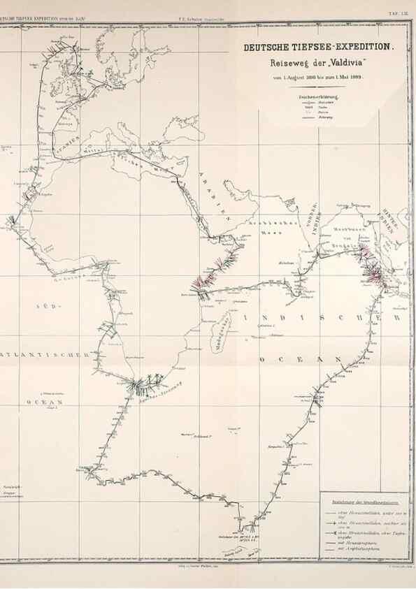 Reproducción/Reproduction 49484260733: Wissenschaftliche Ergebnisse der Deutschen Tiefsee-Expedition auf dem Dampfer ""Valdivia"" 1898-1899.. Jena,G. Fischer,1902-40.. 